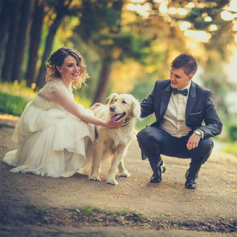 coppia di sposi che accarezza cane