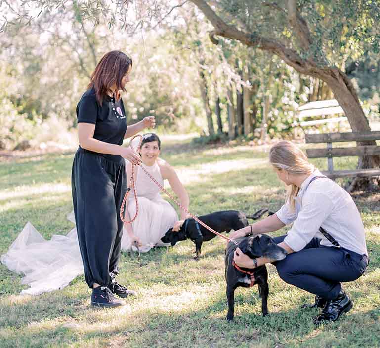 coppia di sposi intrattenuti dai cani e dalla dog sitter per matrimoni